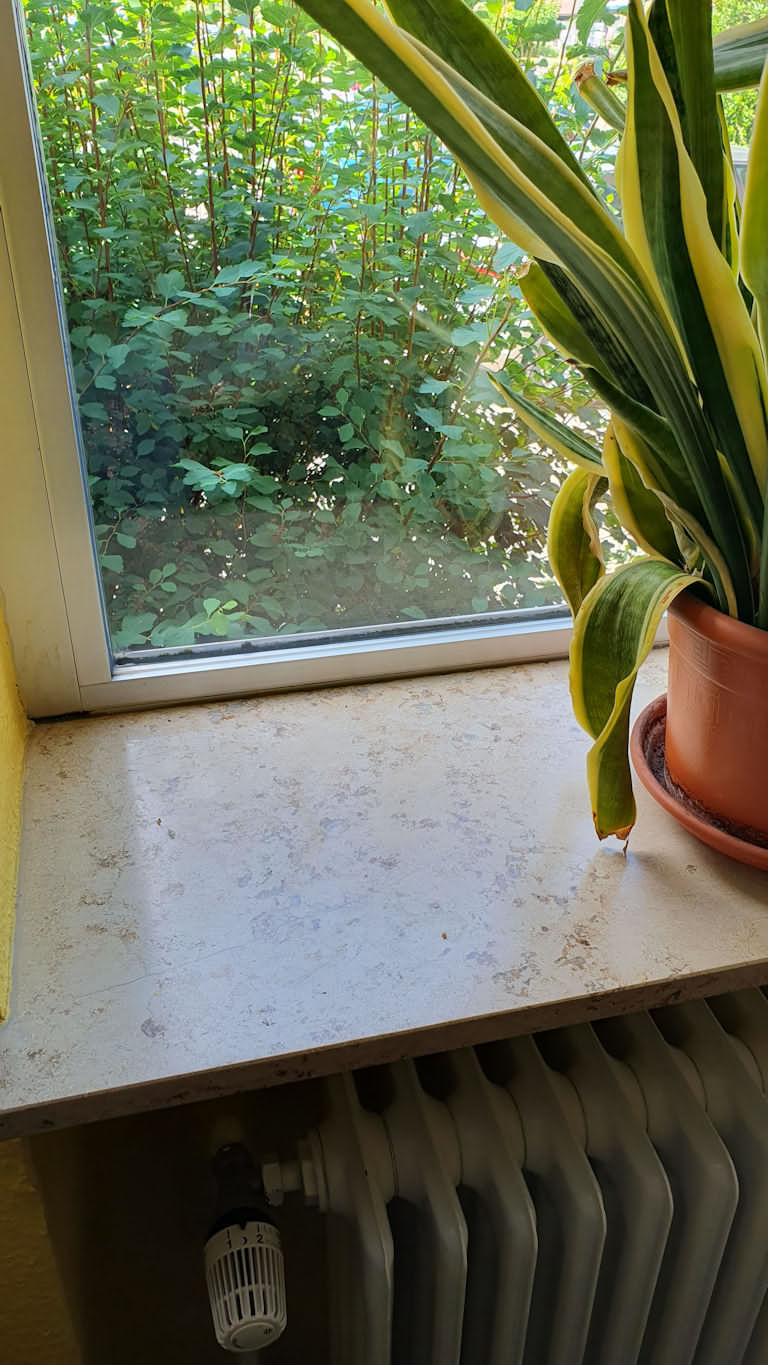 Fenster Klassenräume Verwaltung