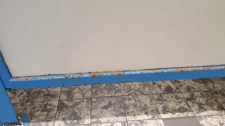 Schülertoiletten